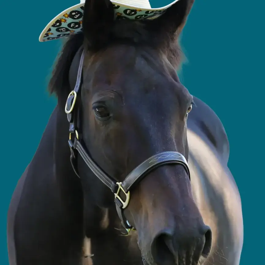 Hay Sunshine F Bomb Hat