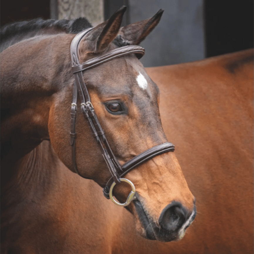 Velociti Lusso Hunter Cavesson Bridle