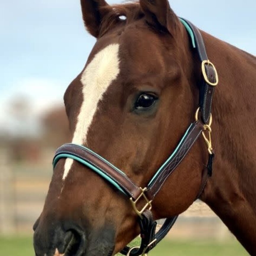 FANCY STITCHED PADDED LEATHER HALTER