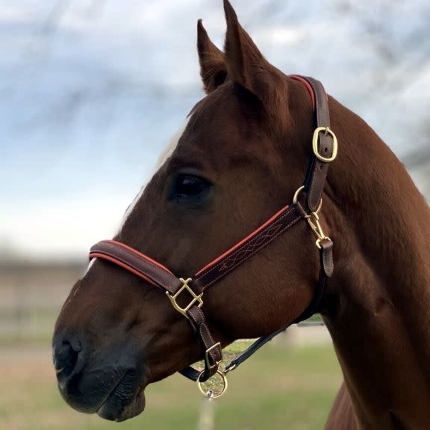 FANCY STITCHED PADDED LEATHER HALTER