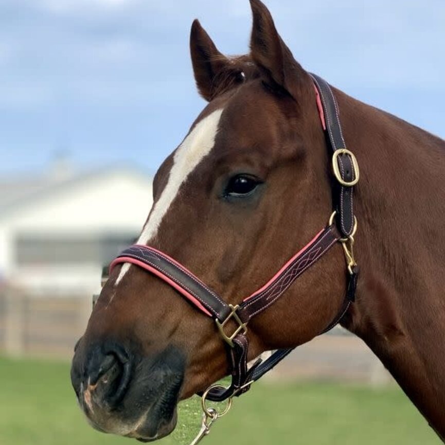 FANCY STITCHED PADDED LEATHER HALTER