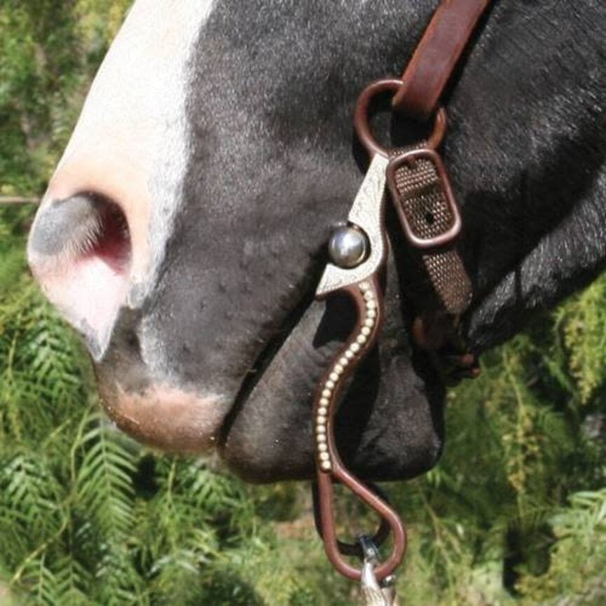 Bob Avila Signature Shank Medium Copper Port Bit