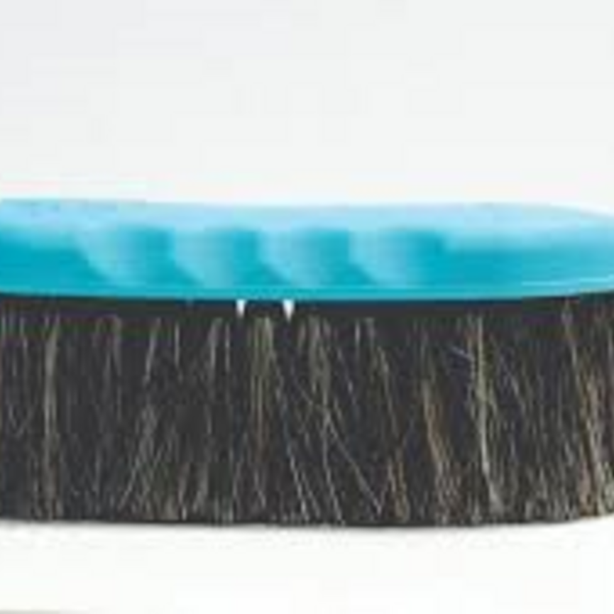 SMALL HORSE HAIR BRUSH