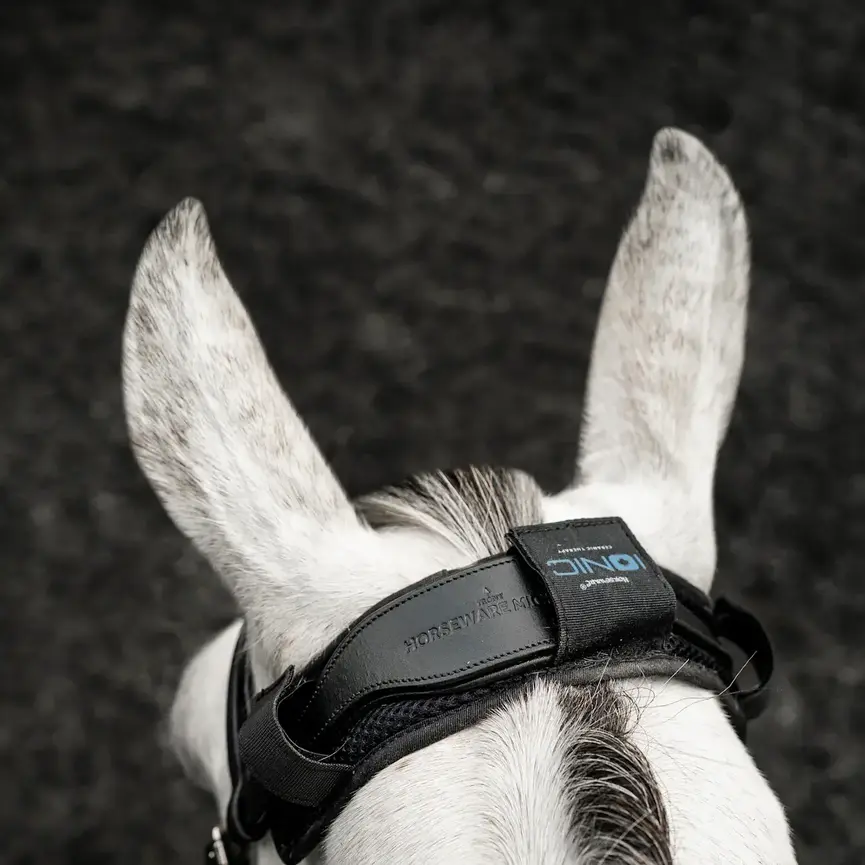 Horseware Ionic Poll Cover