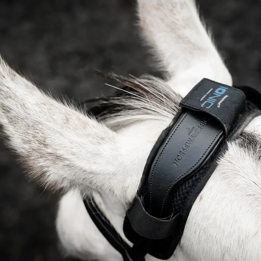 Horseware Ionic Poll Cover