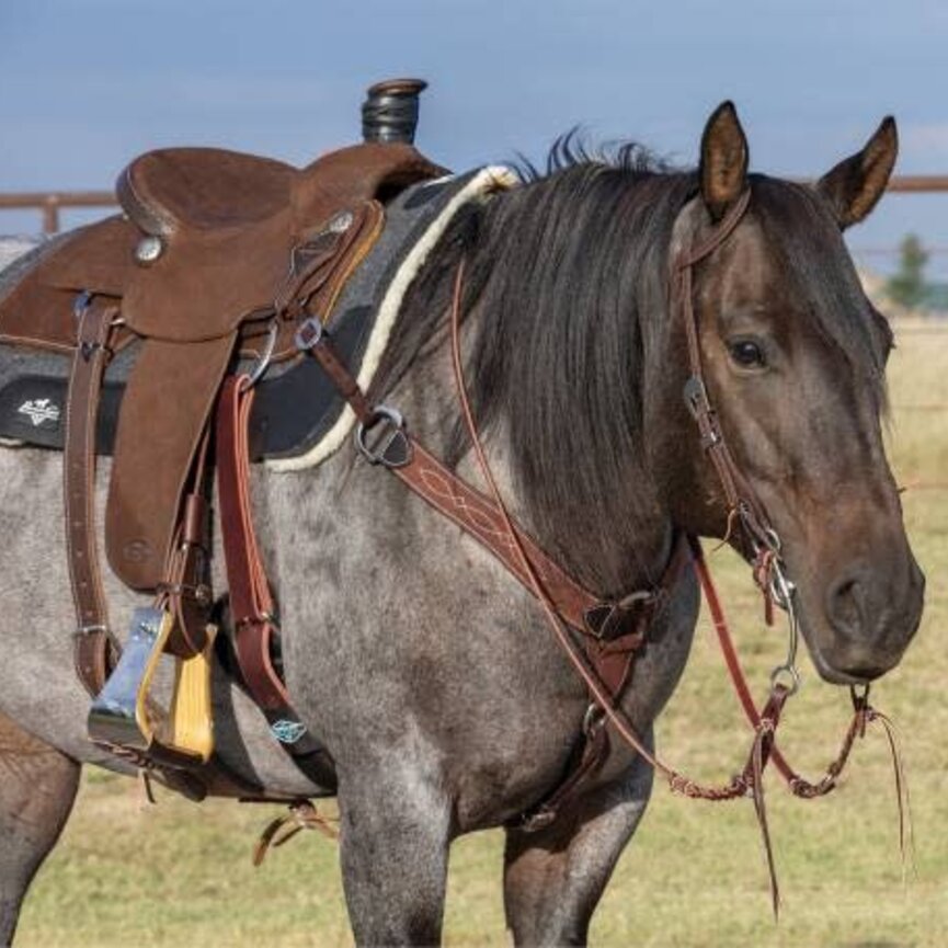 Chocolate Roughout Gunslinger 2" Contoured Breast Collar