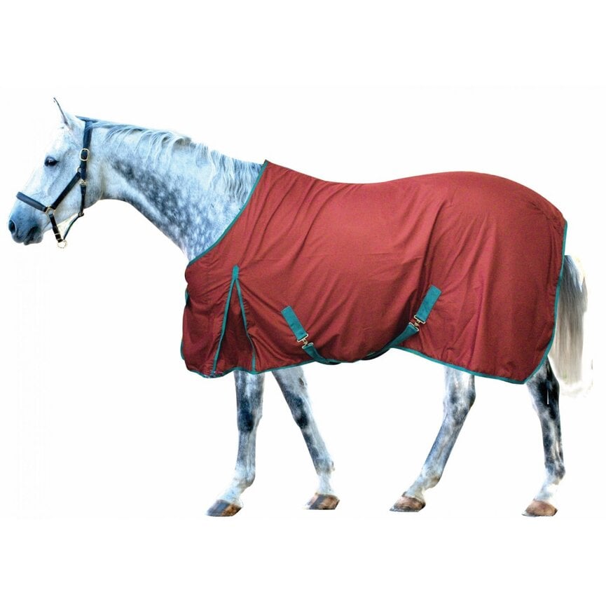 CENTURY PERFORMANCE COTTON SUMMER SHEET