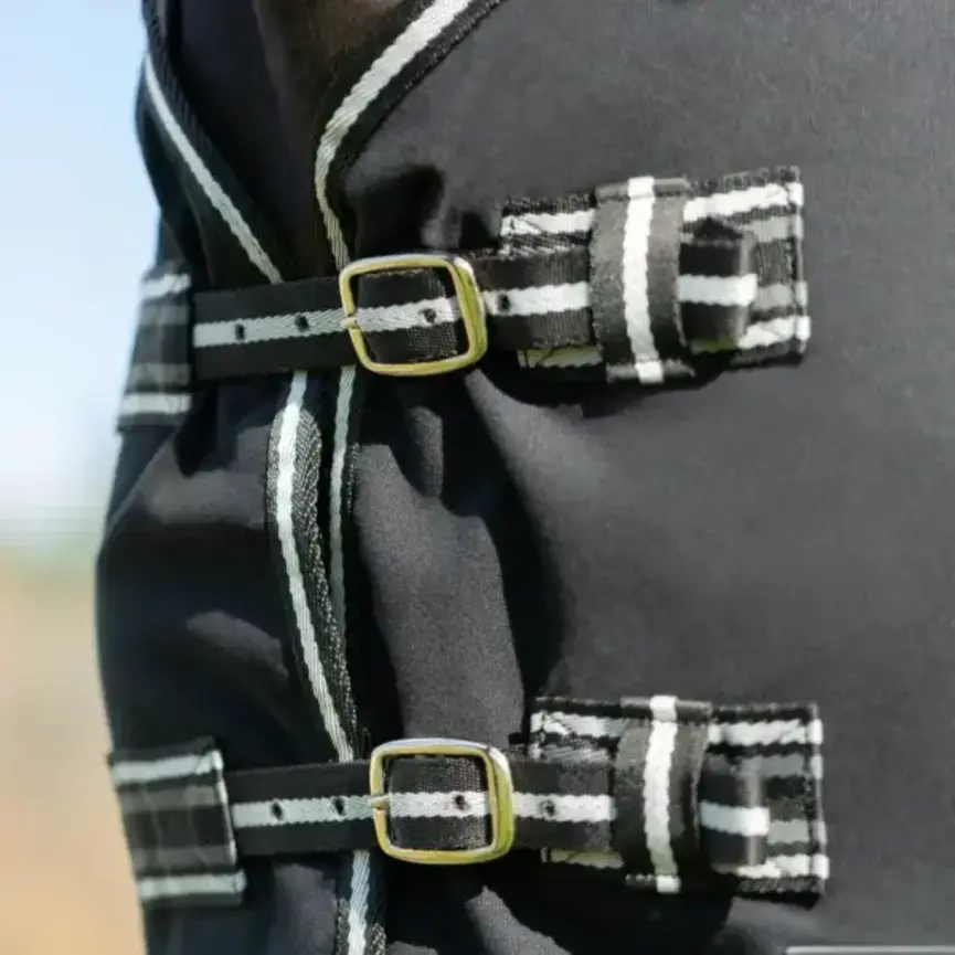 Equinavia Fryd Cotton Stable Sheet