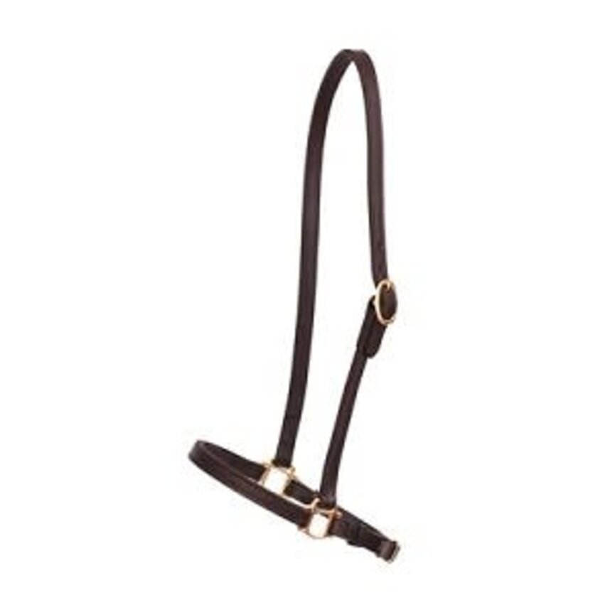 Perri's 3/4" Grooming Halter - Havana - Horse