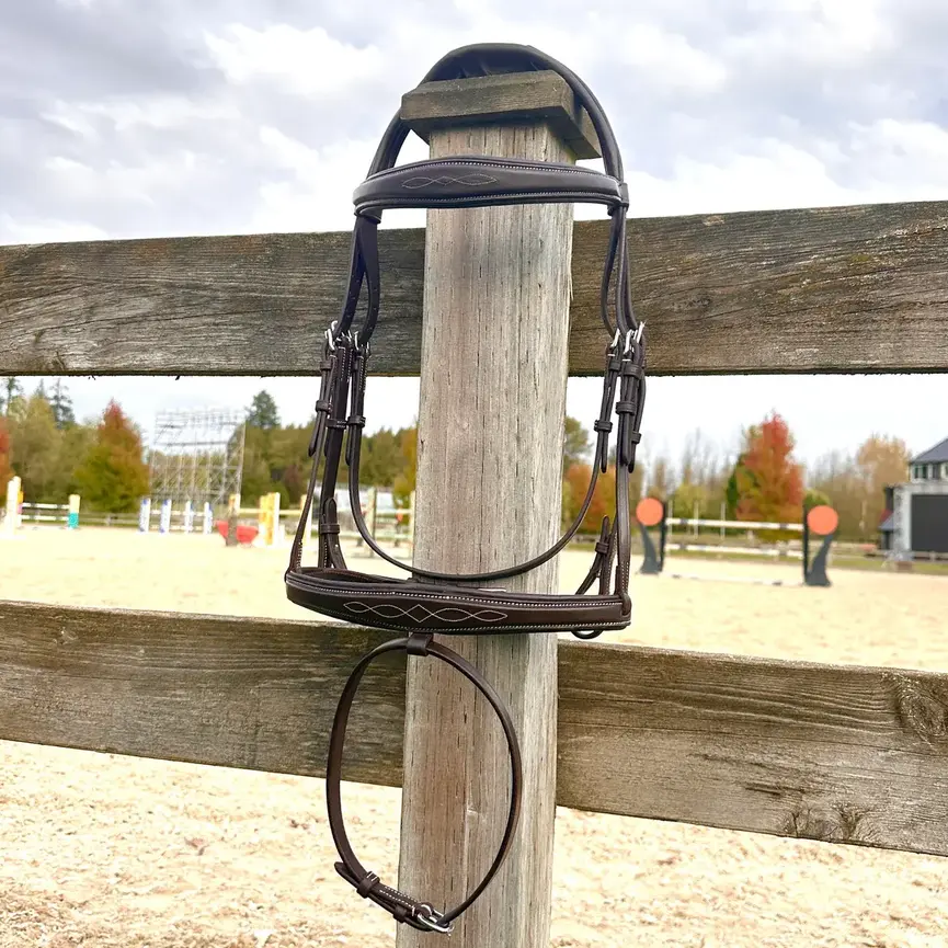 Wesley Taper Fancy Stitch Bridle with removable flash
