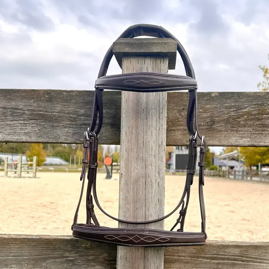 Wesley Taper Fancy Stitch Bridle with removable flash