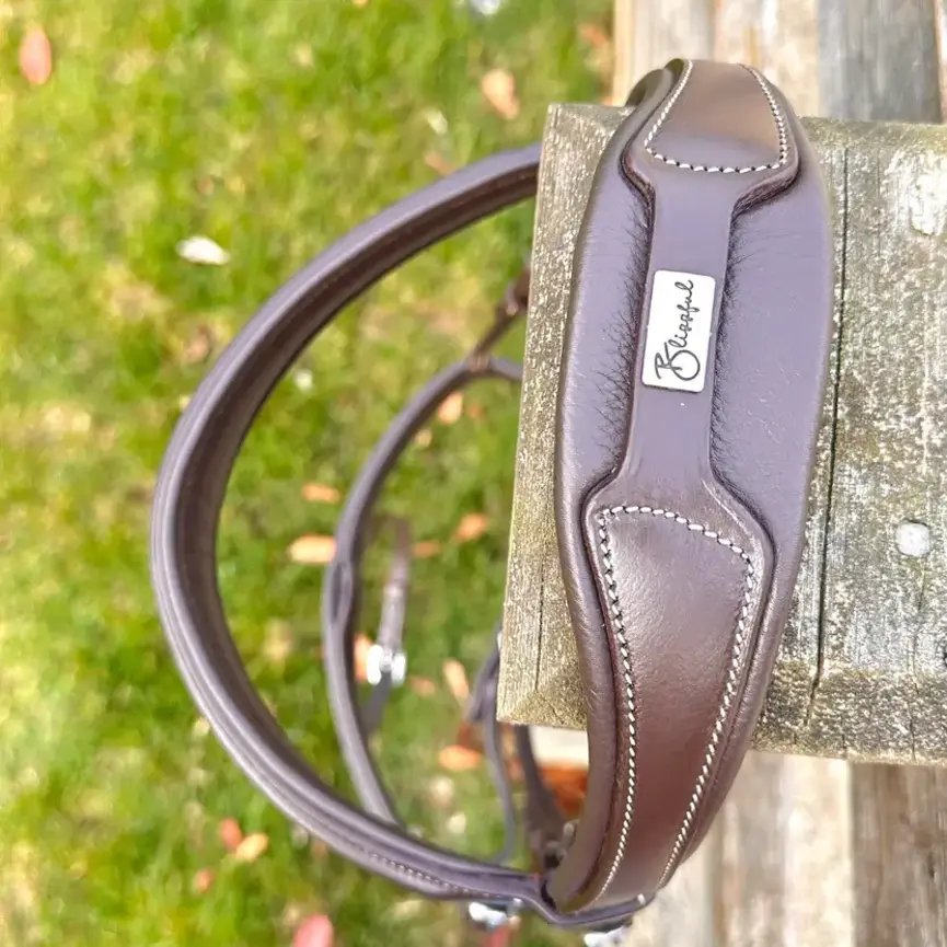 Wesley Taper Fancy Stitch Bridle with removable flash