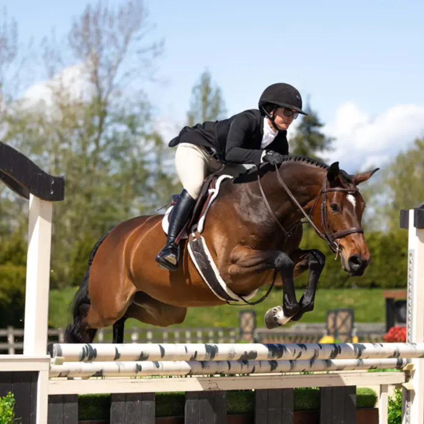 Soft Padded Pro Leather Hunter Girth