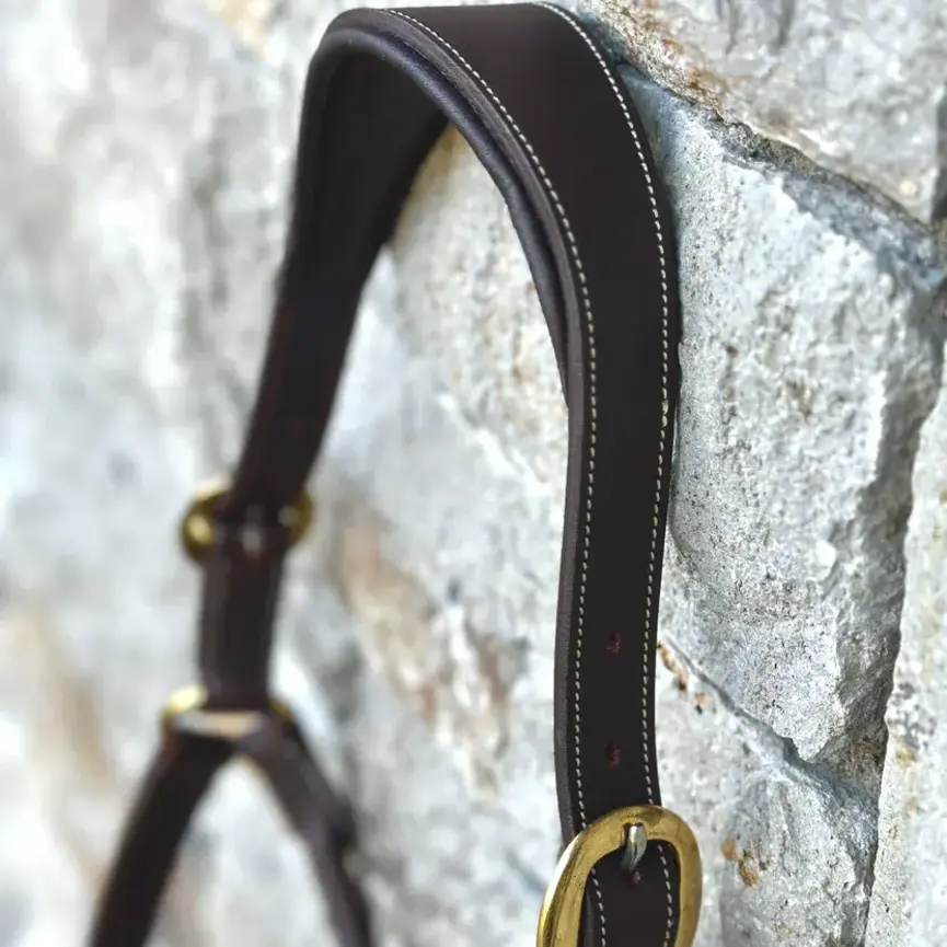 Oxford Fancy Stitch Show Halter