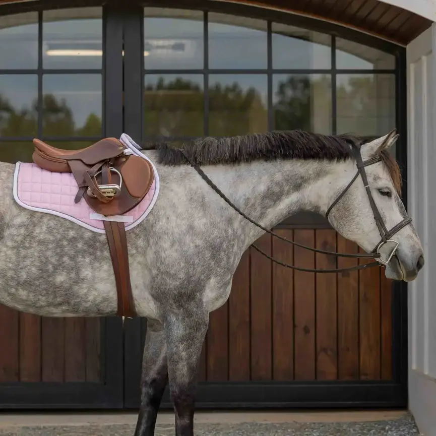 Svalbard Pony Saddle Pad with NordicAir Tech