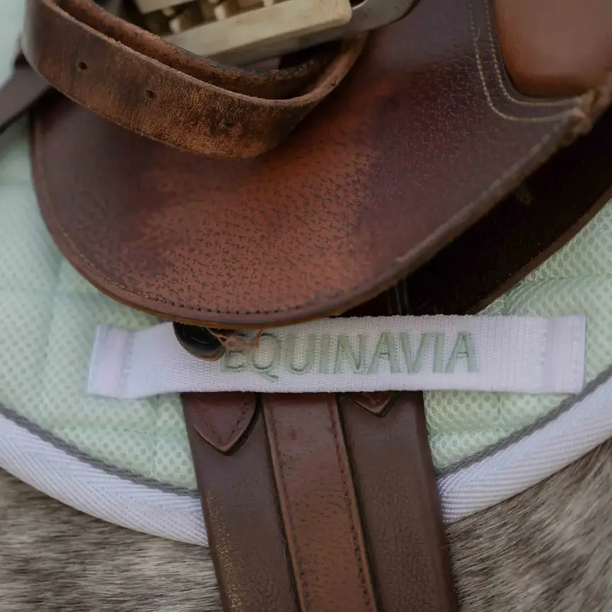 Svalbard Pony Saddle Pad with NordicAir Tech