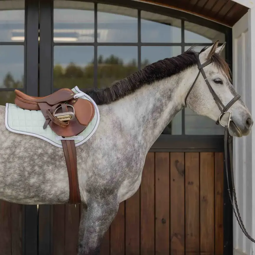 Svalbard Pony Saddle Pad with NordicAir Tech