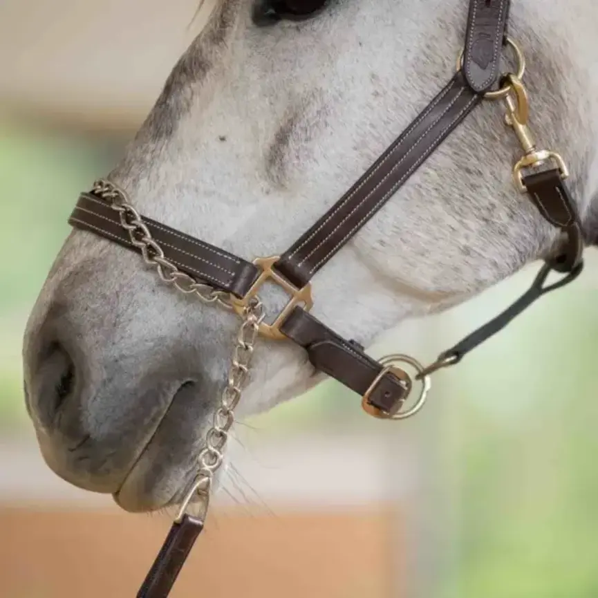 Saga 35 Feet Lunge Line with Chain