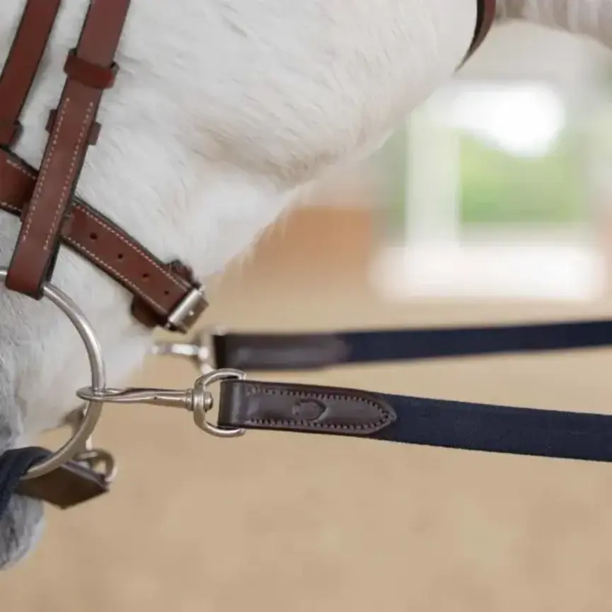 Saga Elastic Side Reins