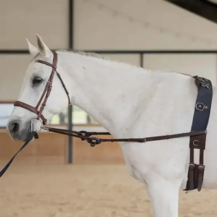 Saga Donut Side Reins