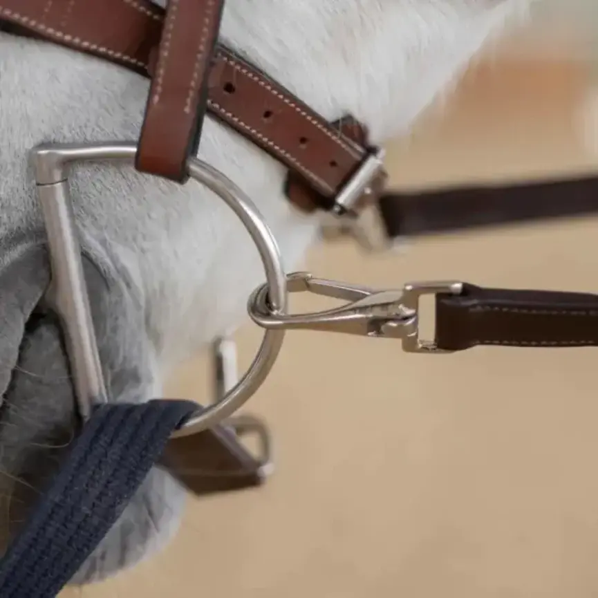 Saga Donut Side Reins