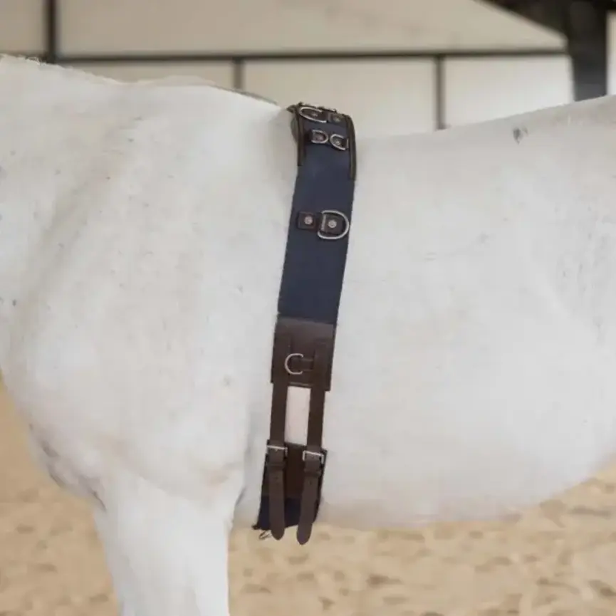 Saga Lunge Surcingle