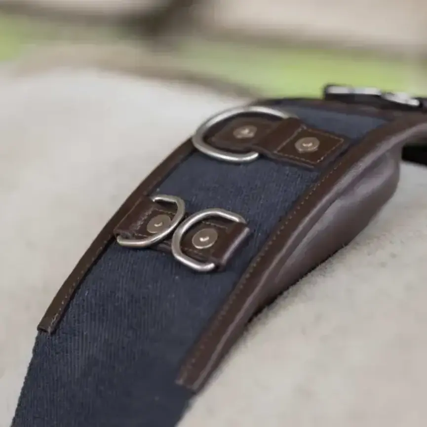 Saga Lunge Surcingle