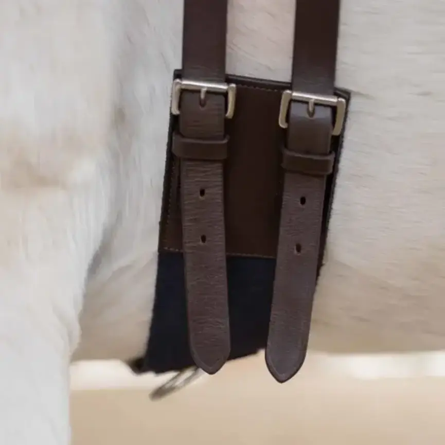 Saga Lunge Surcingle