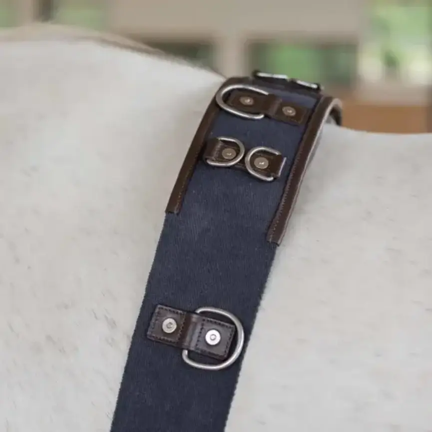 Saga Lunge Surcingle