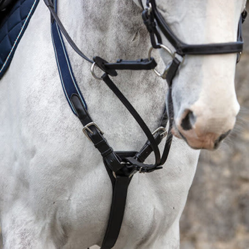 MICKLEM BREASTPLATE