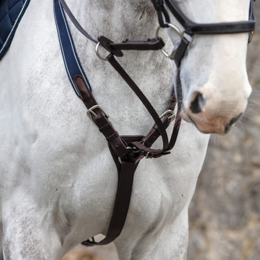 MICKLEM BREASTPLATE