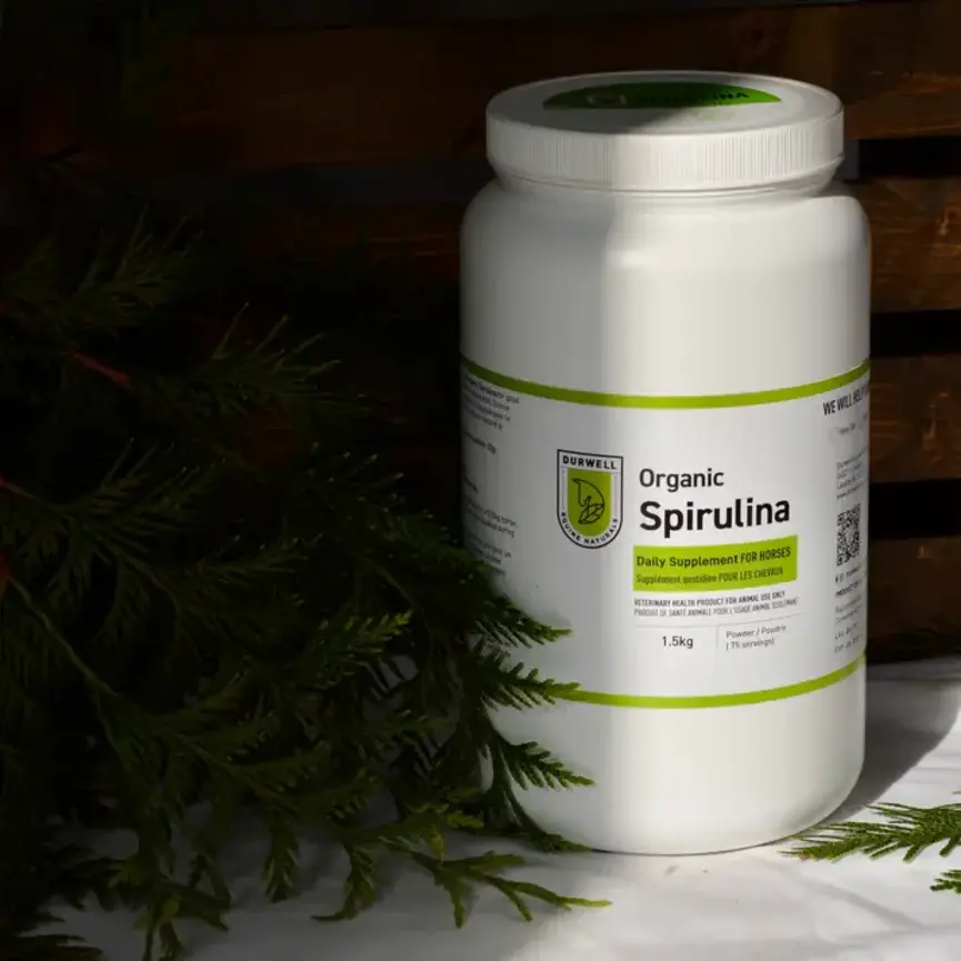 Pure Organic Spirulina