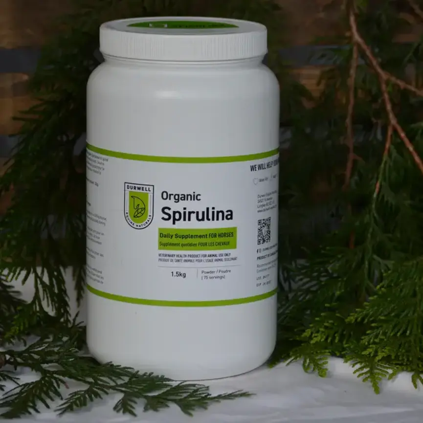 Pure Organic Spirulina