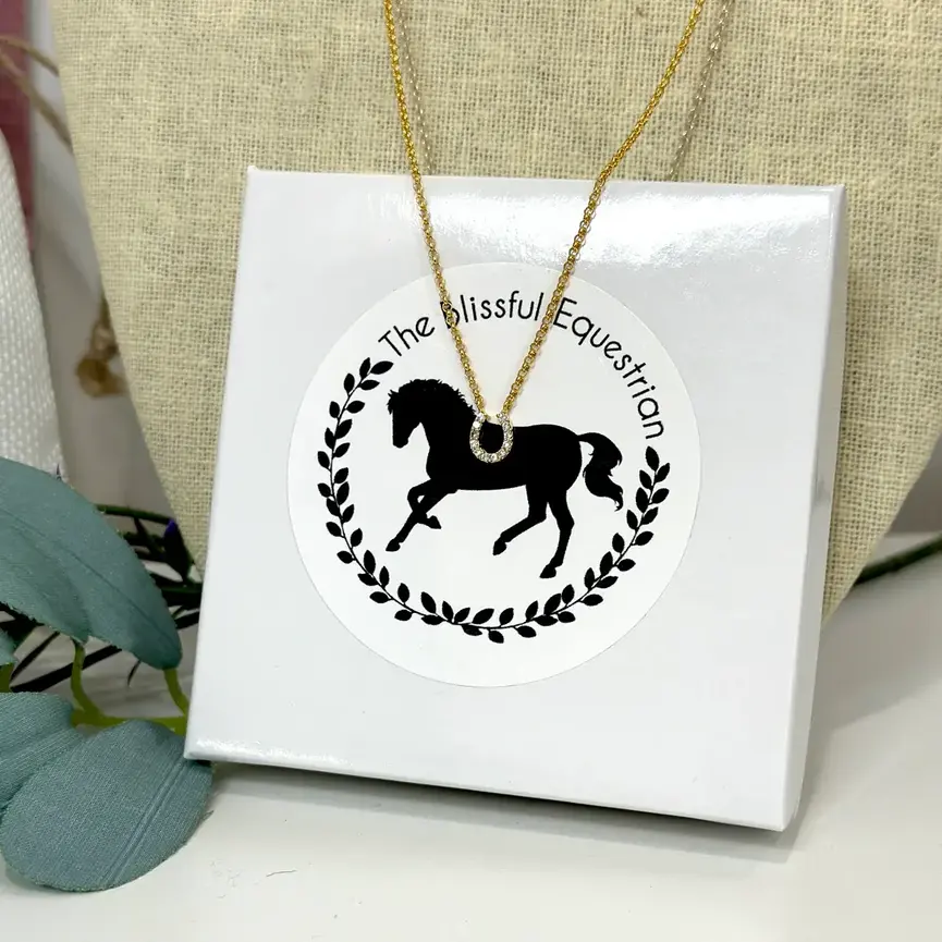 Mini Crystals Horse Shoe Necklace