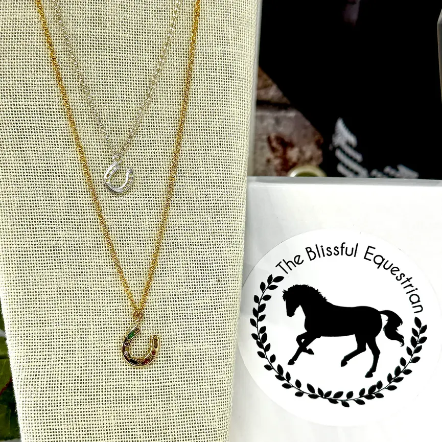 Solid Sterling Silver Horse Shoe Necklace