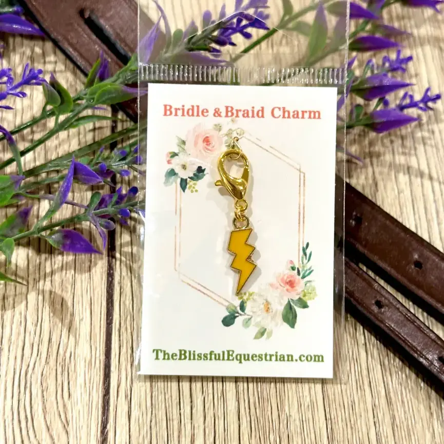 Braid & Bridle Charm