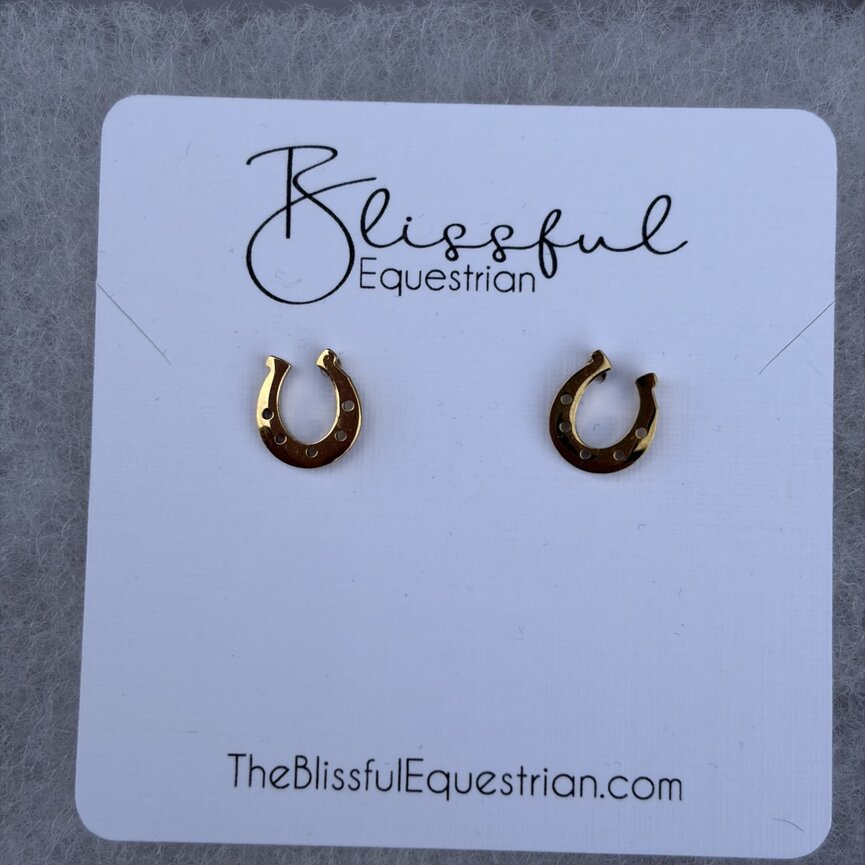 Stainless Steel Lucky Horse Shoe Earrings