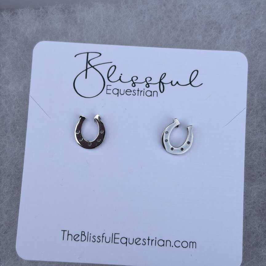 Stainless Steel Lucky Horse Shoe Earrings