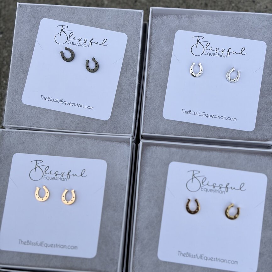 Stainless Steel Lucky Horse Shoe Earrings