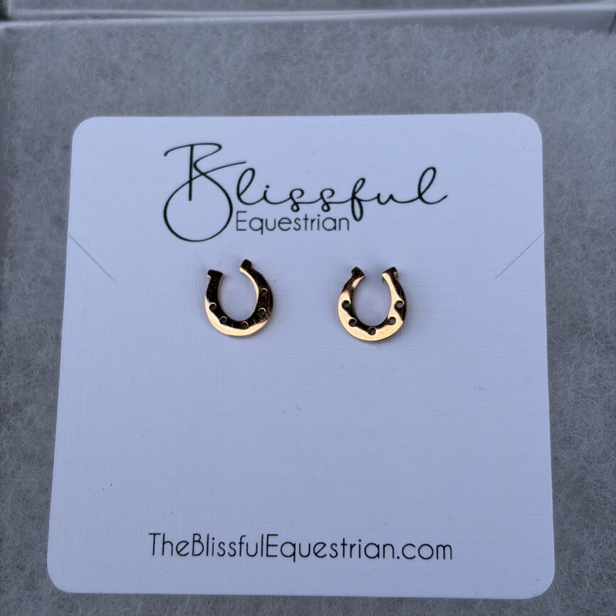 Stainless Steel Lucky Horse Shoe Earrings