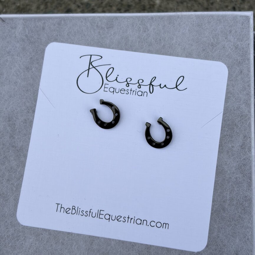 Stainless Steel Lucky Horse Shoe Earrings