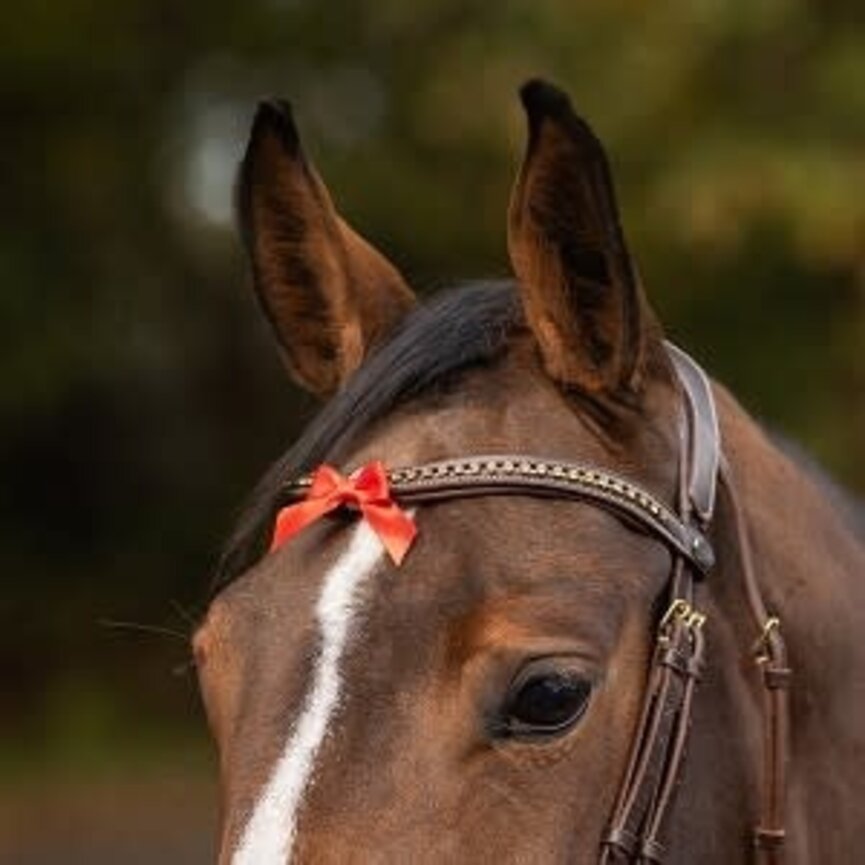 Small Warning Bow - Red