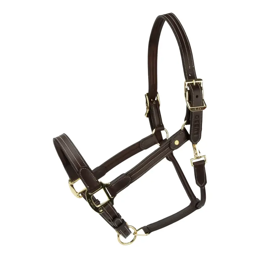 Velociti Lusso Girona Leather Headcollar