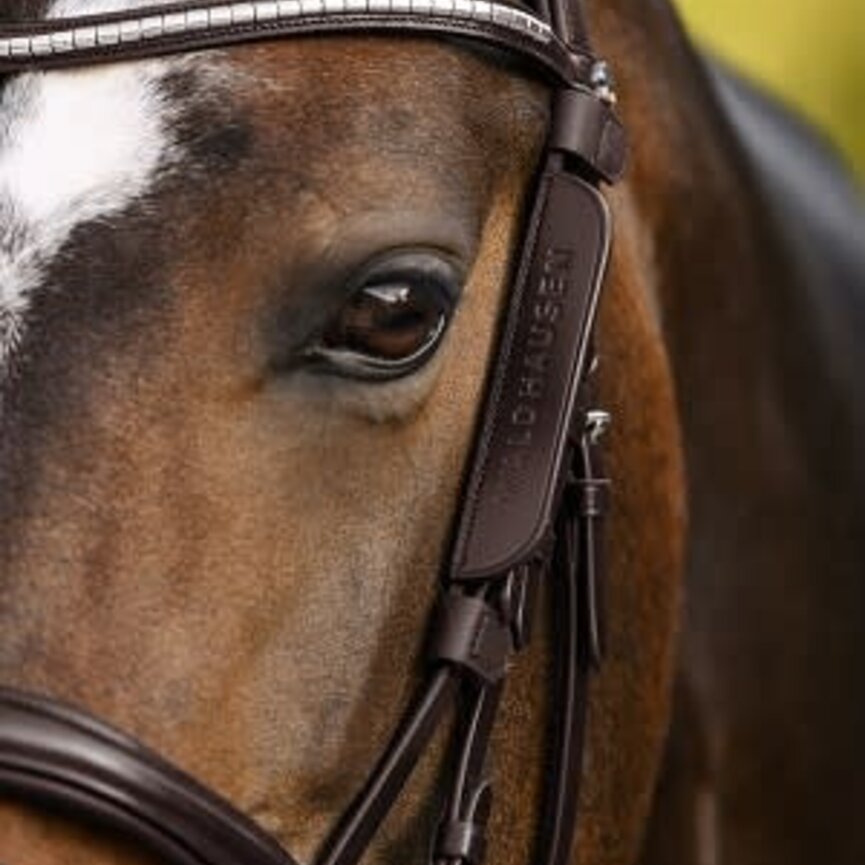 WH Leather Blinkers