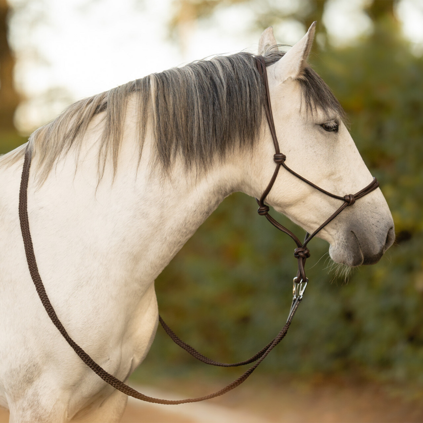 QHP Liberta Leather Rope Halter