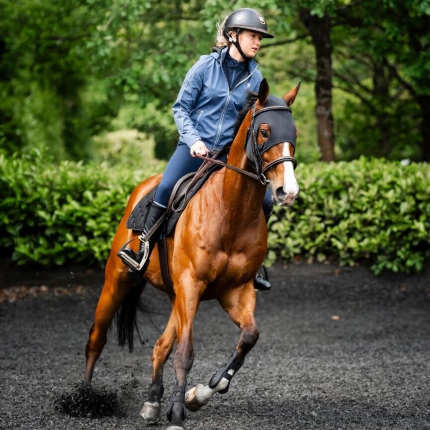 Horseware Ionic Therapy Calming Face Mask