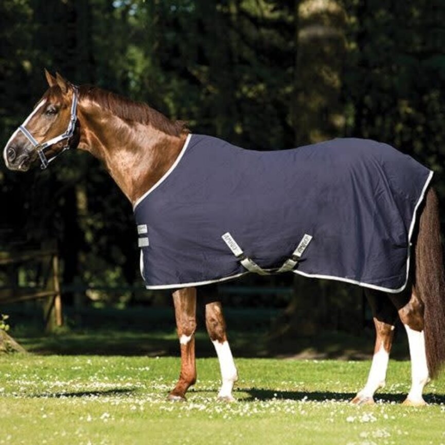 STABLE SHEET
