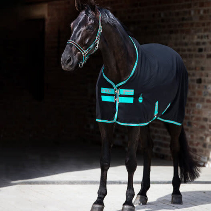 STABLE SHEET