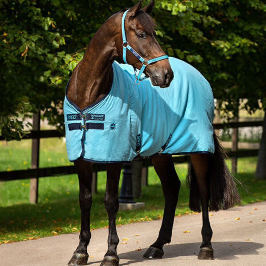 STABLE SHEET