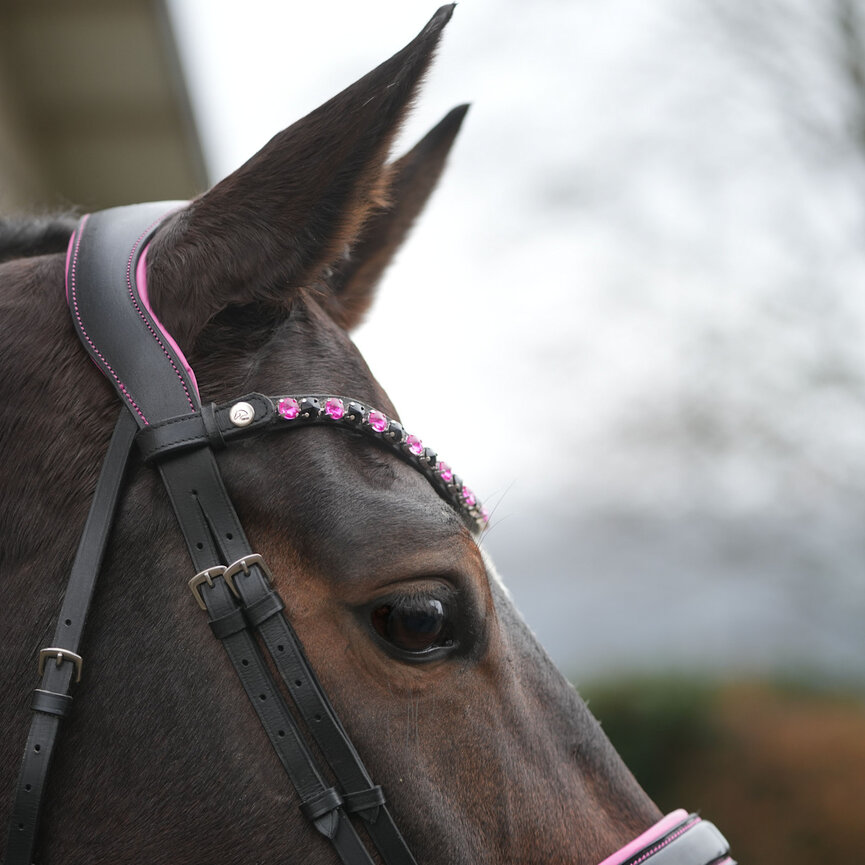 Bridle -Manchester